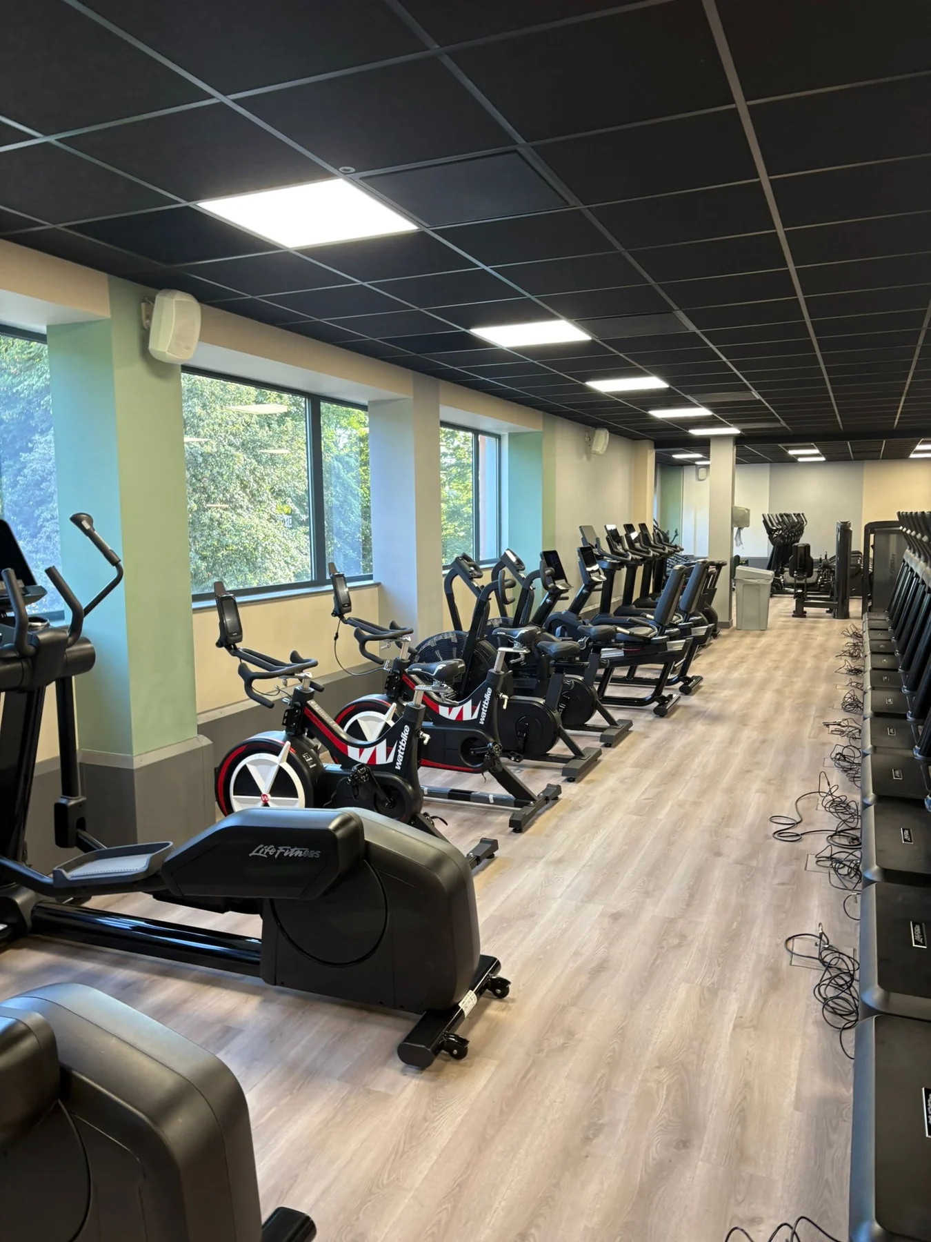Everyone Active gym cardio area lighting